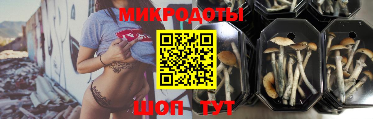 Галлюциногенные грибы Cubensis Альметьевск