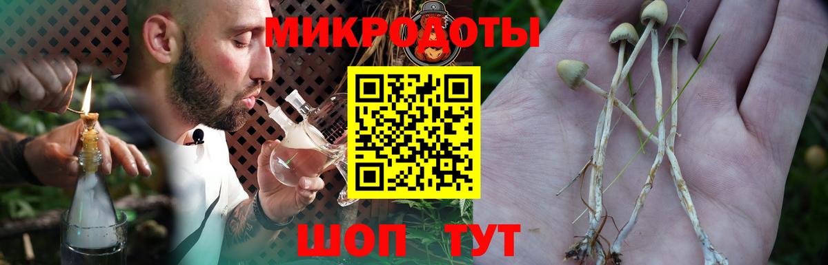 Альметьевск  Галлюциногенные грибы MAGIC MUSHROOMS  Вход с VPN 