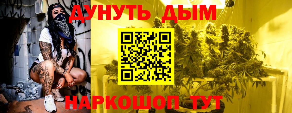 Марихуана ГИДРОПОН  Канабис индика  Вход с VPN  Бошки марихуана план  Альметьевск 